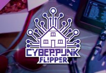 Cyberpunk Flipper
